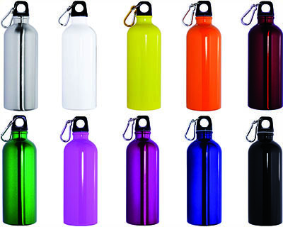 600ml Stainless Steel Bottle